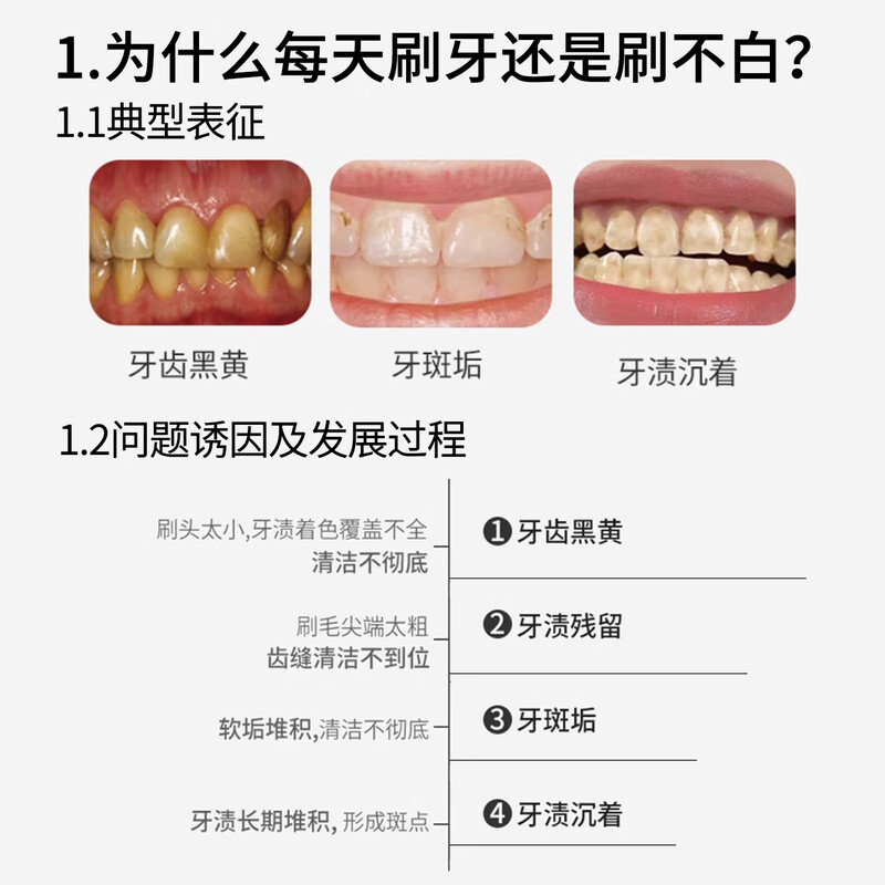 BRUSHING BEAR medium-hard bristle toothbrush Sam's same spiral brush wire to remove tooth stains for adults, home decoration, household men and women, 6 pieces