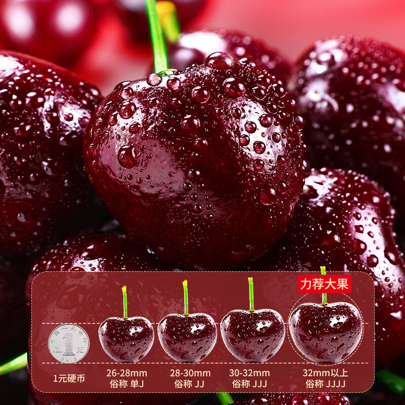 Mengwanyi imported cherries from Chile JD/SF Express next-day delivery in multiple places, 5kg Santina fruit large cherries 3kg (net weight) boutique gift box, extra large fruit 2J, single fruit 28-30mm