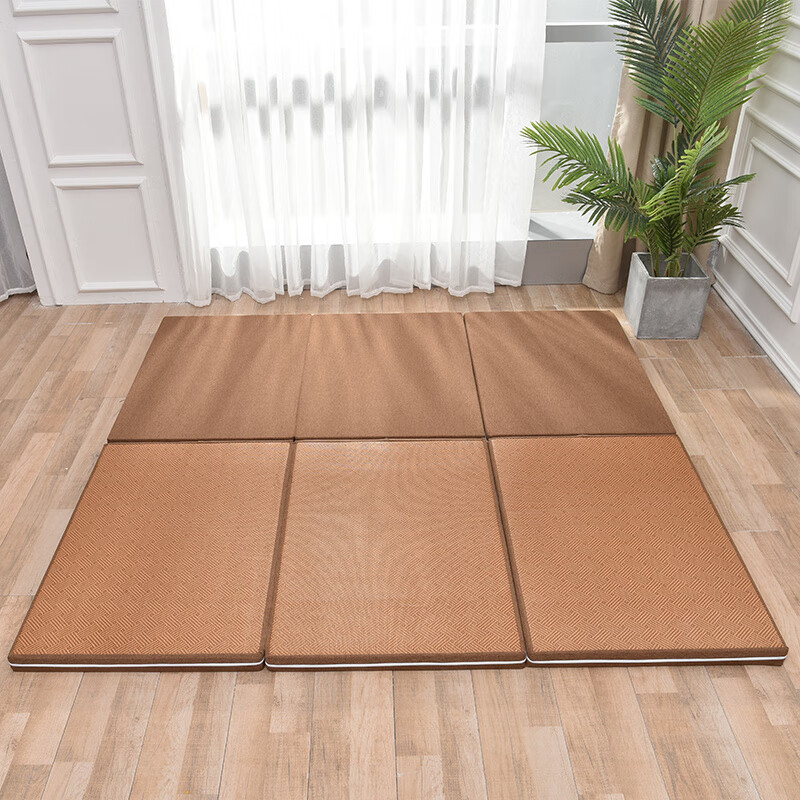 Hualeji Double-sided Bay Window Mattress Bedroom Tatami Four Seasons Universal Mat Customized Removable and Washable Foldable Coconut Brown Latex Coconut Palm Core_90 Width_*_200 Long_*_Thick 5CM Three Folding_