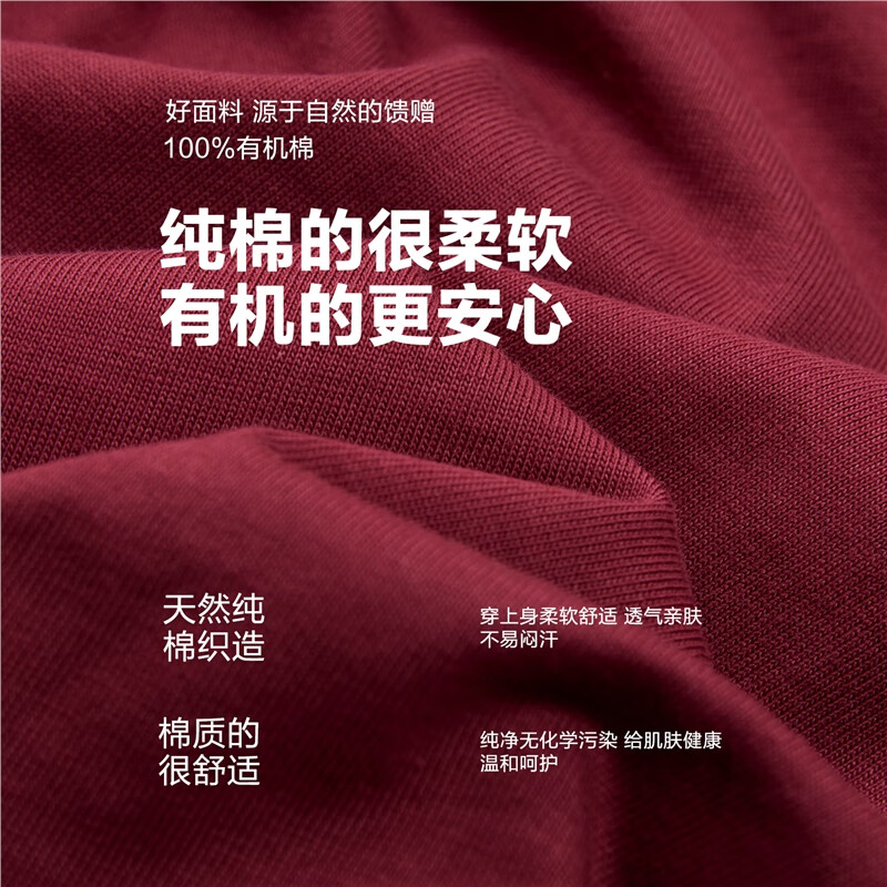 GIORDANO CONCEPTS 2025 autumn and winter new long-sleeved T-shirt women's pure cotton embroidered contrasting raglan loose round neck top 12325016