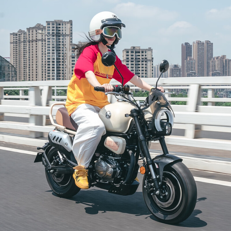 Zongshen Bear 150 Dundun fuel motorcycle trendy ride for men and women novice entry-level mini street car Time White