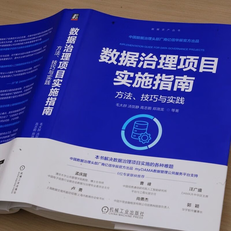 Data Governance Project Implementation Guide Methods, Techniques and Practices