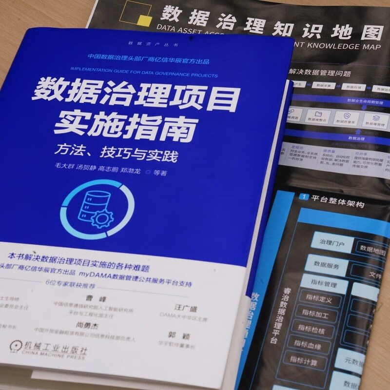 Data Governance Project Implementation Guide Methods, Techniques and Practices