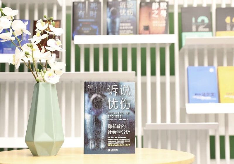 Telling Sorrows: A Sociological Analysis of Depression