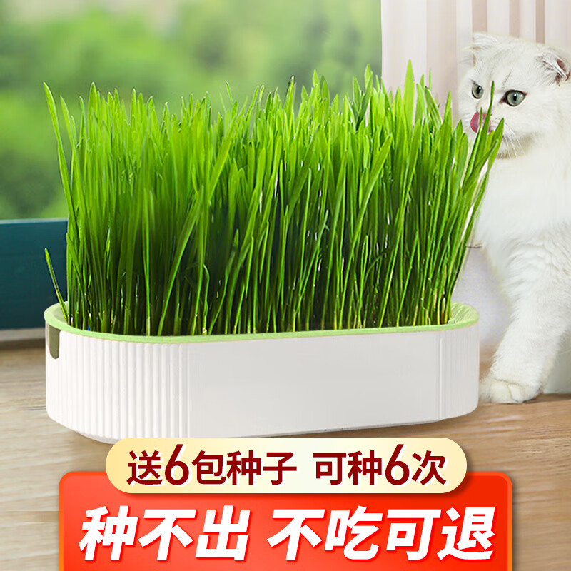 Crazy owner cat grass + 6 bags of wheat seed potted soilless hydroponic mint hair removal balls to help eliminate hair cat snacks for young cats