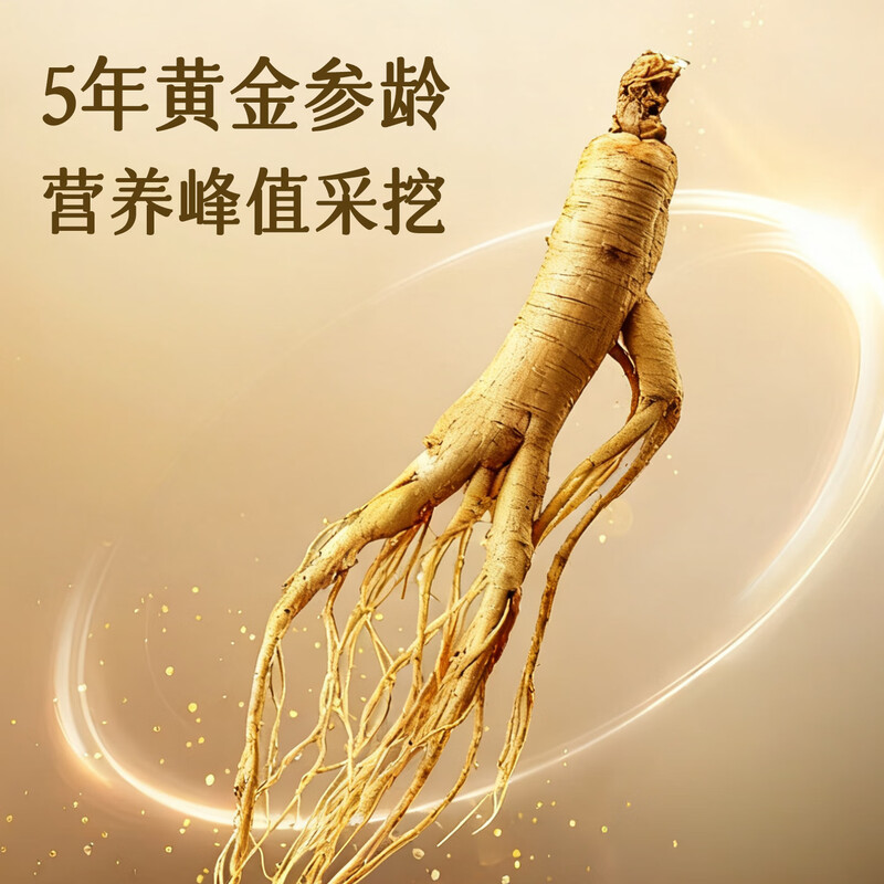 Chuangdi American Ginseng Gift Box Mid-Autumn Festival Gift for Elders and Parents Meeting Gifts Wolfberry and Astragalus Eight Pieces Nourishing Gift Box