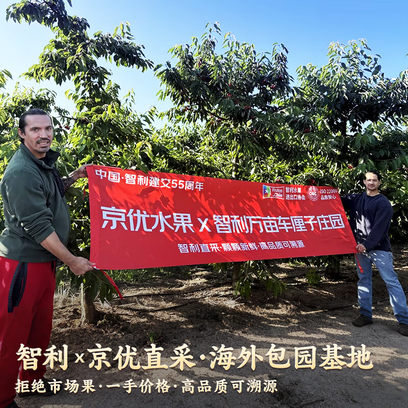 Uncle Sam's Chilean Cherries JD-Next Day Delivery to Many Places 2.5kg 4J Grade Imported Cherry Fruit Gift Box New Year's Gift Box 3kg (Net Weight) 80% Choice - Great Cost-Effective Enjoyable Gift Box Black Diamond Grade Solid Crisp Hard 4J Super Fruit King 32-34mm