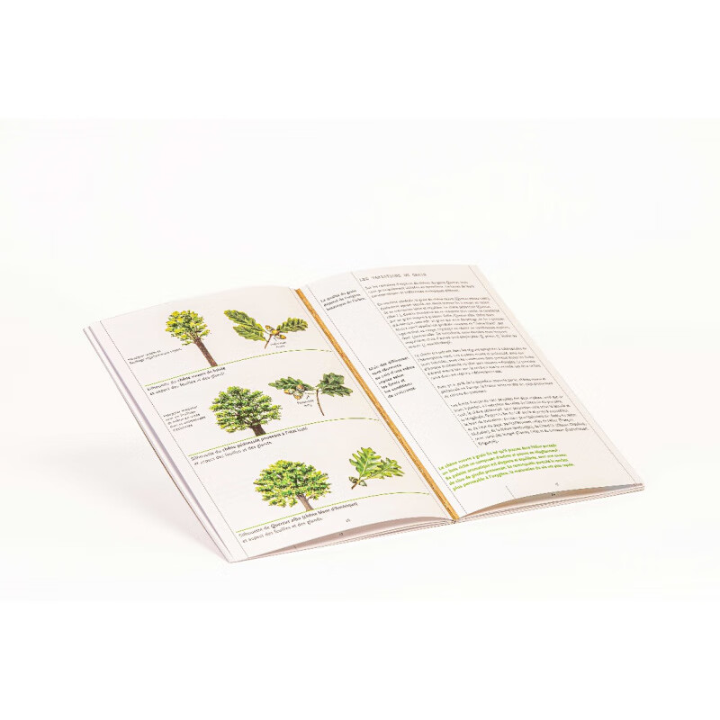 OUOETY French imported leNezduvin wine nose new oak barrel flavor 12 fragrances in English