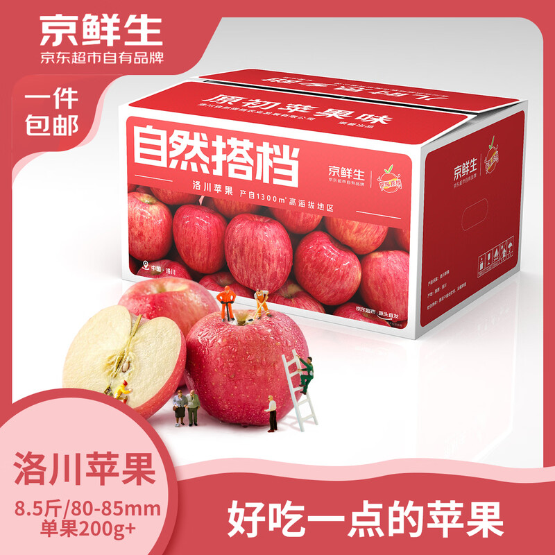 Jingxiansheng Luochuan Apple Shaanxi Red Fuji Net Weight 8.5 Jin 80-85mm Single Fruit 200g + Fresh Fruit Straight from the Source