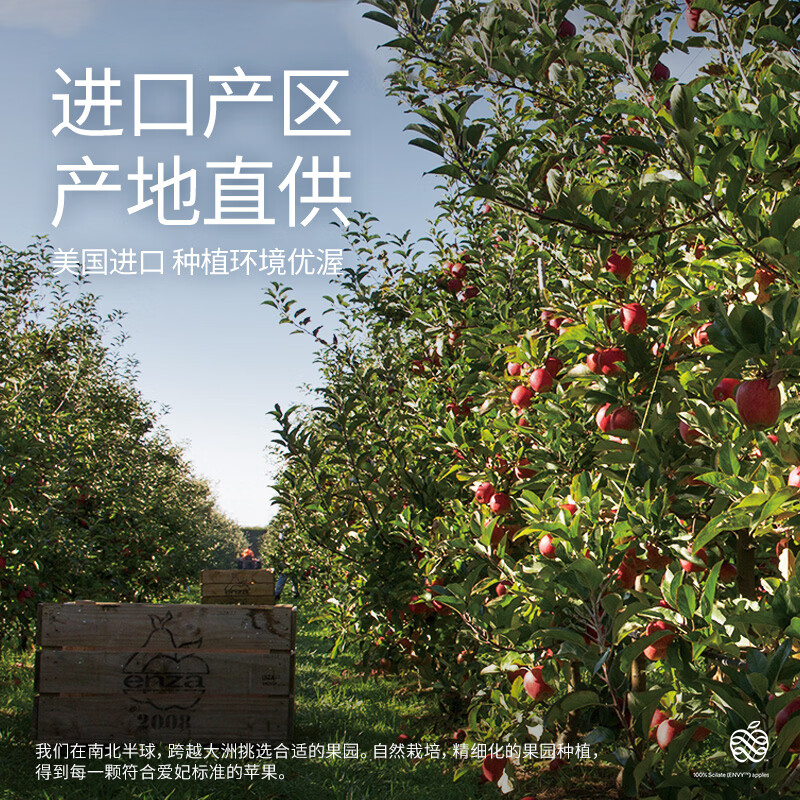 Aifei American Apple Big Mac Fruit 8 pieces, imported fresh fruit gift box, single fruit starting from 220g, shipped directly from the source