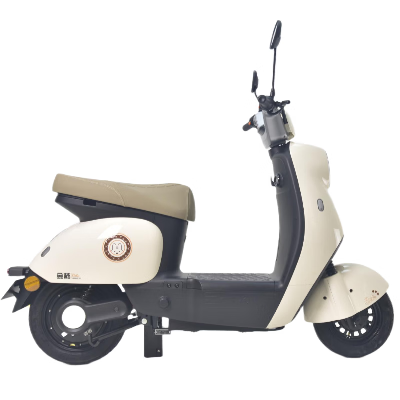 Golden Arrow Electric Motorcycle Popular New Product Lingcai 60V20AH Lead Acid Battery Long Life 800W High Power Smart Pedal Electric Motorcycle Unicorn