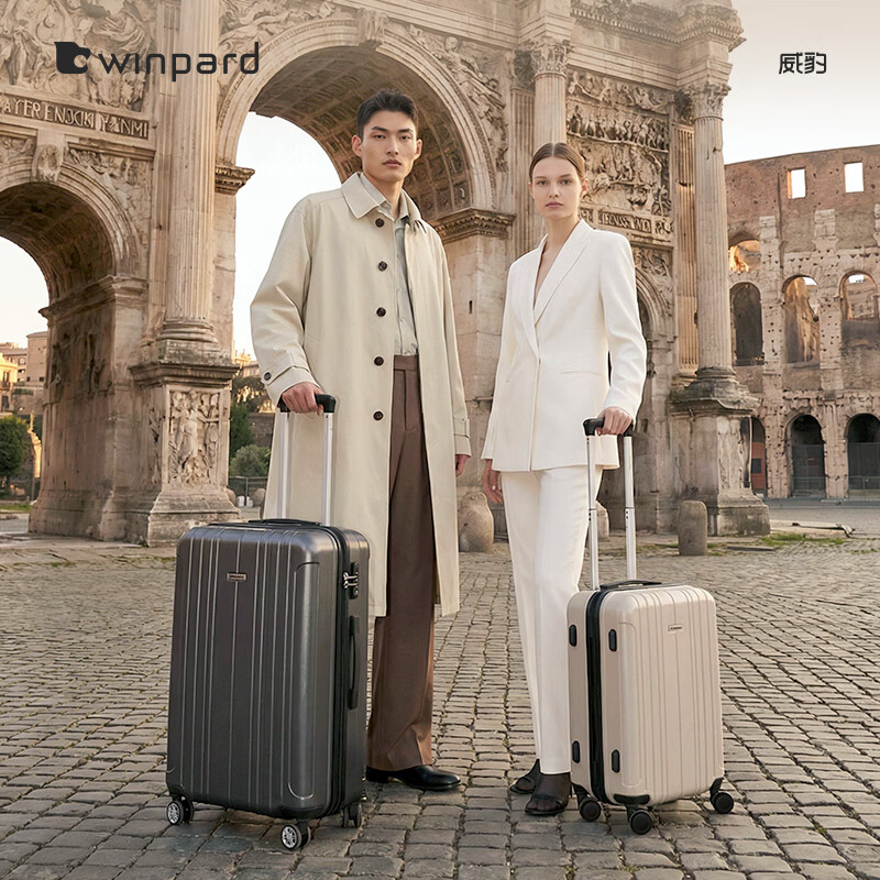 Weibao Trolley Case PC Case Men's Hard Case Luggage Checked Boarding Case Women's Password Box Suitcase Dark Gray (Domestic Craftsmanship Quality, Tough and Compression Resistant) 20 Inch Boarding Case 2-4 Days Short-distance Travel