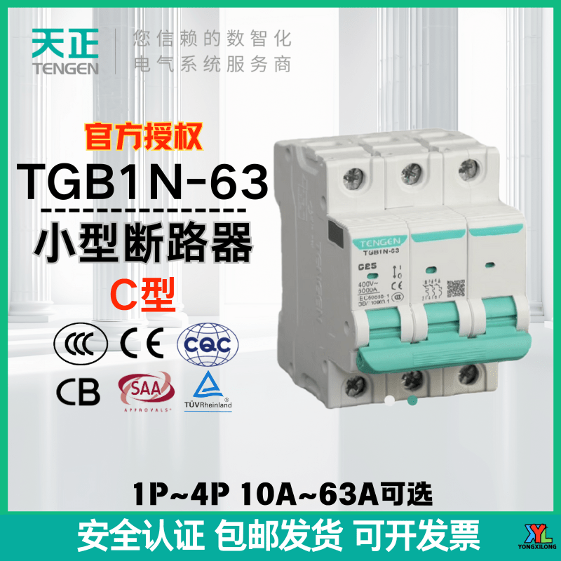 Tianzheng Electric small circuit breaker-63 household protection circuit breaker 63a32a Xiangyun DZ47 air switch C type TGB1N-63_2P_C type 10A
