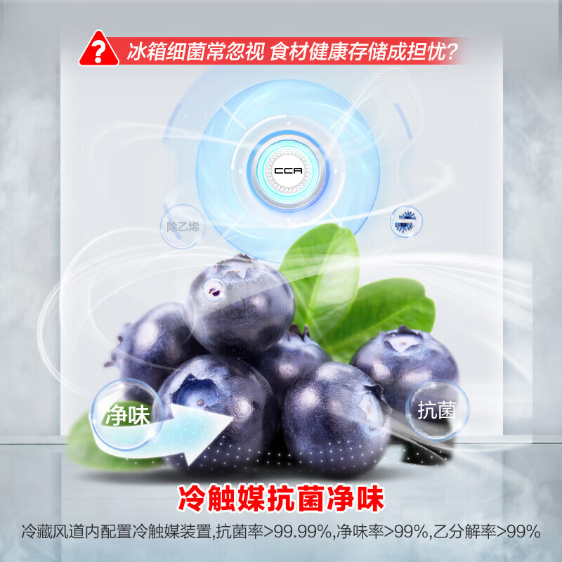 Rongsheng 635-liter side-by-side refrigerator first-class energy efficiency vector dual-frequency CCA ion sterilization air-cooled frost-free super large capacity national subsidy BCD-635WD13HP