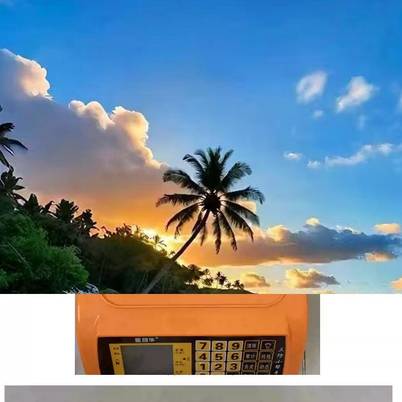 Yusenyi Anti-cockroach Electronic Pricing Scale Electronic Scale Waterproof and Dustproof All-in-one Food Market Mobile Stall Portable Automatic Commercial Digital Red Letter Insect-proof and Insect-proof Integrated Design