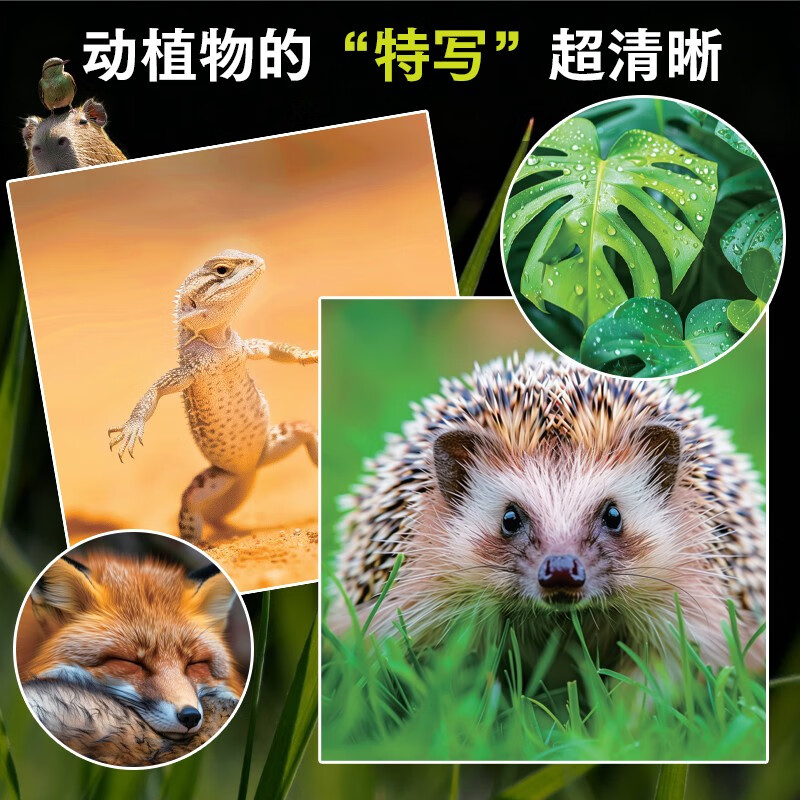 Same as Douyin, Nature Encyclopedia Children's Paper Documentary, High Definition Large Pictures, a Natural Feast for Children, Popular Science and Natural Knowledge, Natural Encyclopedia of All Things in the World