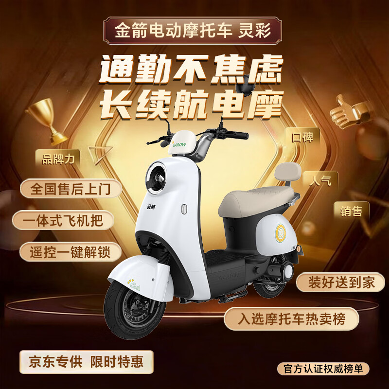 Golden Arrow Electric Motorcycle Popular New Product Lingcai 60V20AH Lead Acid Battery Long Life 800W High Power Smart Pedal Electric Motorcycle Unicorn