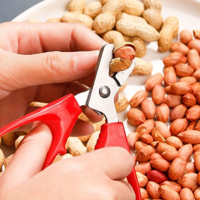 Stainless steel household watermelon pliers for peeling melon seeds and pine nut shells, nut clips for peeling peanut shells, 1 pack