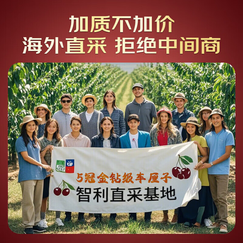 Tian Shiji Chilean cherries JD - next-day delivery in many places. Fresh Santina and other fruits and cherries are delivered in a New Year gift box. 5 pounds (net weight). Selected gift box. The most cost-effective. Highly recommended. Super Fruit King 4J grade 32-34mm丨harder, crisper and sweeter.
