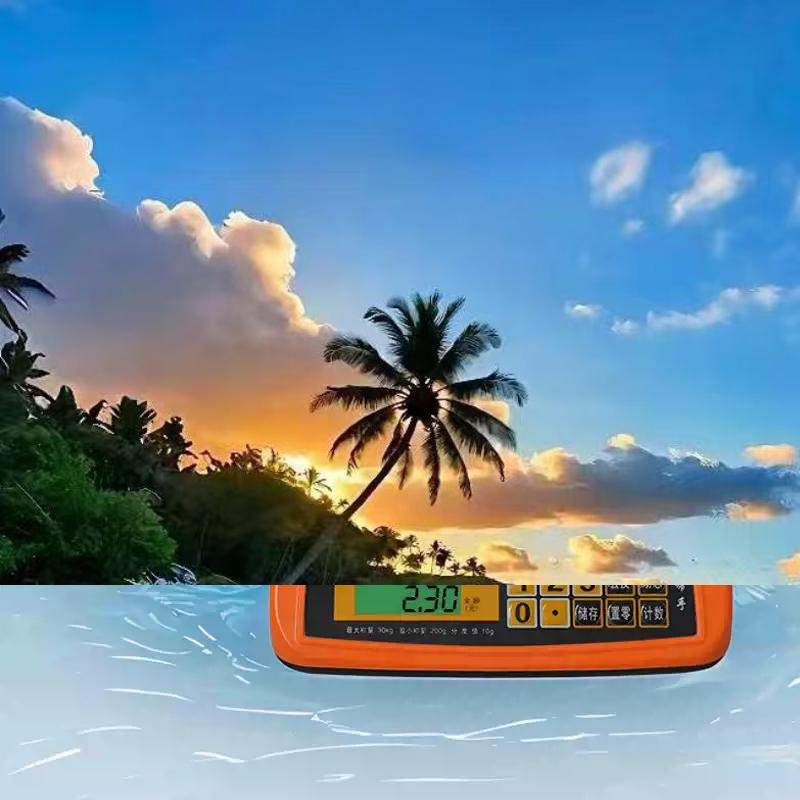 Yusenyi Anti-cockroach Electronic Pricing Scale Electronic Scale Waterproof and Dustproof All-in-one Food Market Mobile Stall Portable Automatic Commercial Digital Red Letter Insect-proof and Insect-proof Integrated Design