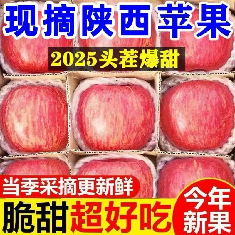 Shaanxi Luochuan Red Fuji Apple Crisp, Sweet and Fresh Full Box Fresh and Seasonal Box 10 Jin Net Weight 9 Jin 80mm