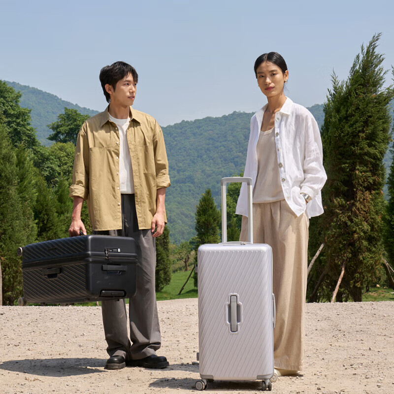 Diplomat Diplomat Suitcase Large Capacity Trolley Suitcase Password Box TC-2619 Haoyue Silver 26 inches