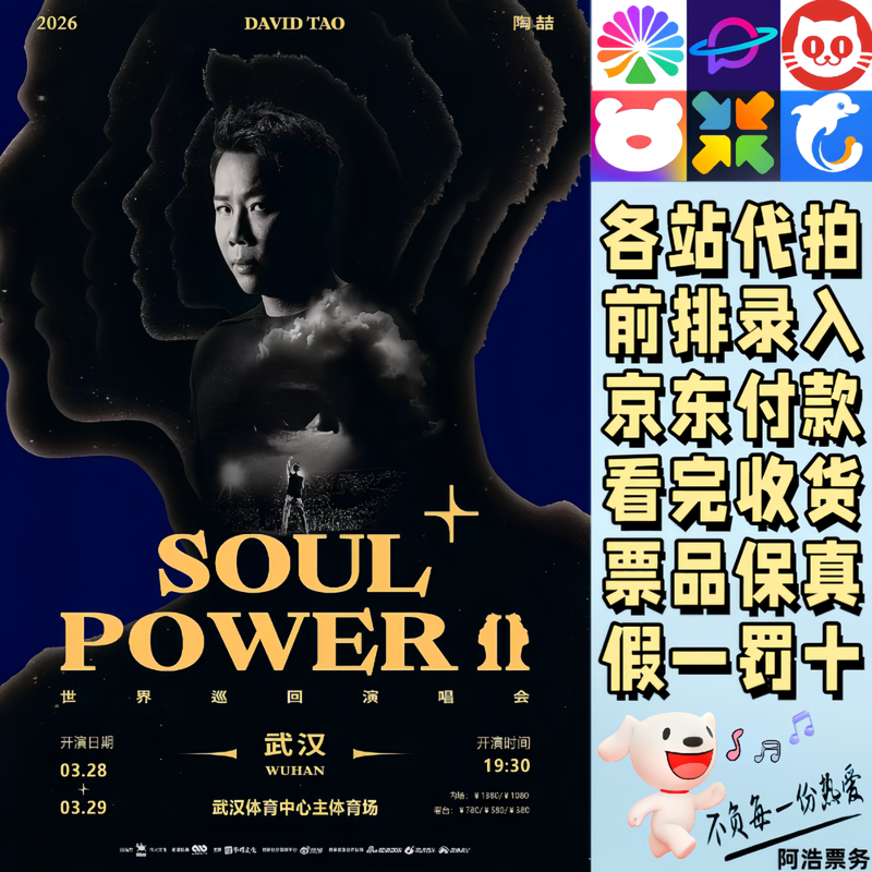 Tao Zhe concert tickets 2026 Tao Zhe Soul Power ll PIus World Tour Concert Wuhan Chongqing Tianjin Changsha Proxy for bidding and recording information 1380 Consultation before bidding Private bidding is invalid Non-original price