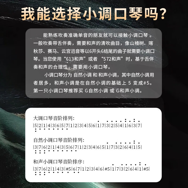 Dongfang Ding Slim T2406S 2.0 entry-level 24-hole polyphonic student beginner adult advanced professional performance harmonica polyphonic E key slim model