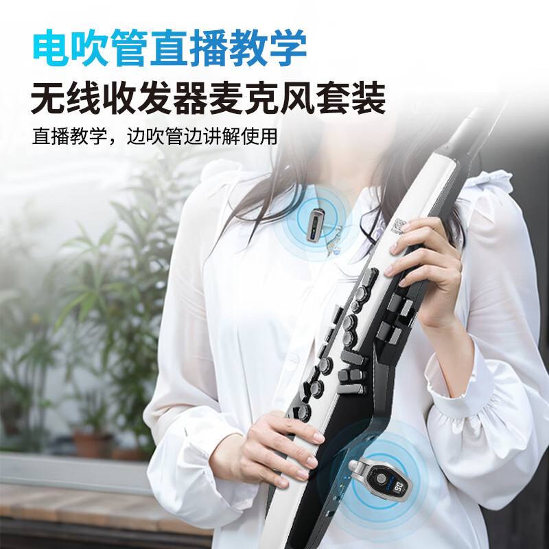 Crystal Microphone G80 electric blowpipe teaching performance wireless transceiver ultra-long battery life with reverberation connector one to two G80 electric blowpipe dedicated one to one