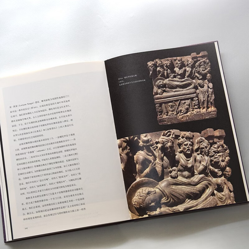 Vivid Discover art while roaming. Encounter the new works of author Wu Hong. Use Vivid as the entrance to step into a broader art field. Full-color printing on art paper.