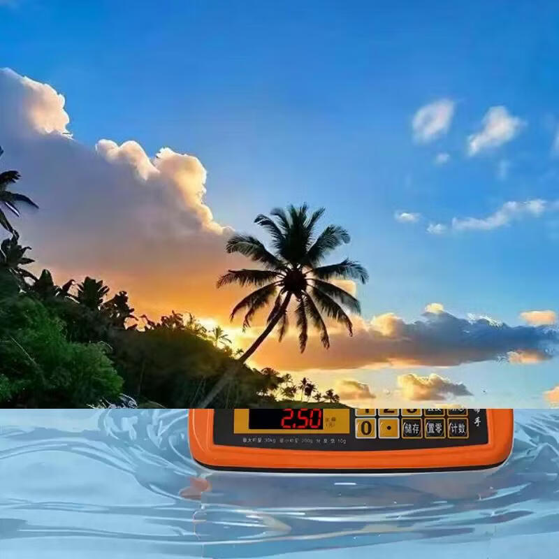 Yusenyi Anti-cockroach Electronic Pricing Scale Electronic Scale Waterproof and Dustproof All-in-one Food Market Mobile Stall Portable Automatic Commercial Digital Red Letter Insect-proof and Insect-proof Integrated Design