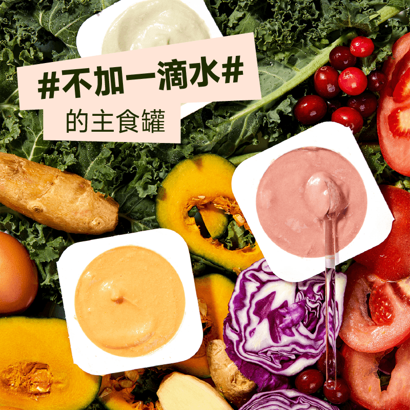 FURRYTAIL Full Price Like Mud Rainbow Mud Advanced 35g*6 Cup Staple Food Meal Box Cat Grain-Free Adult Cats and Kittens