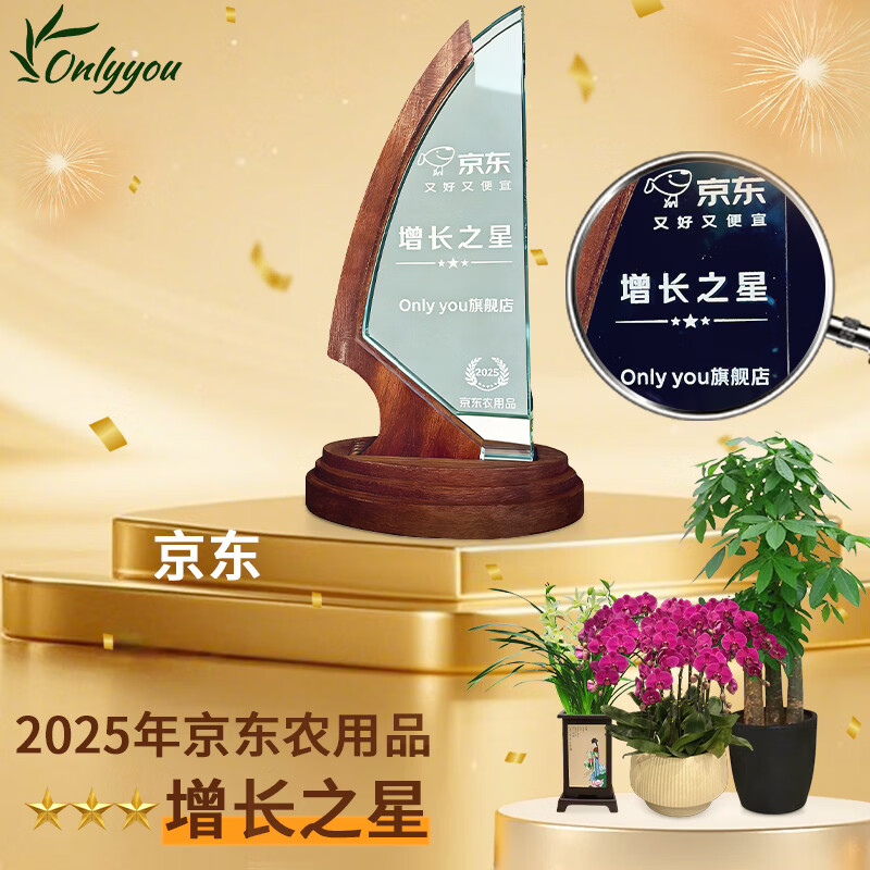 Only you 2 hours' delivery Phalaenopsis with buds and sword flower pots with real flowers orchids potted plants opening housewarming New Year's Eve flowers 8 purple plants (random porcelain pots)