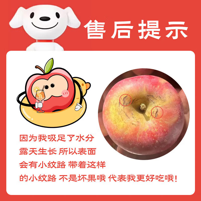 Aksu Apple Xinjiang Aksu Rock Candy Heart Apple Fresh Fruit Crisp and Sweet Red Fuji Recommended for Gifting 10 Jin in Box Single Fruit 75-85mm Net Weight 8.5 Jin