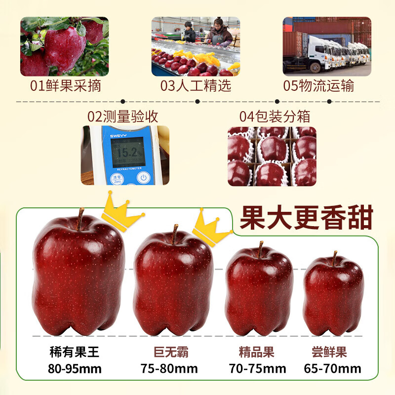 Mu Xiaoqi Fruits and Vegetables Gansu Tianshui Huaniu Noodles Apples Next Day Delivery to Multiple Places Snake Fruit Gift Box New Year’s Gift Box SS+ Grade Rare Fruit King (Single Fruit About 80mm+) 5kg Pack 80% Selection - Super Cost-effective Net 4.5kg*