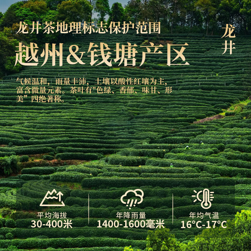 Go find green tea Mingqian Longjing tea gift box 250g 2025 new tea spring tea new year gifts for elders