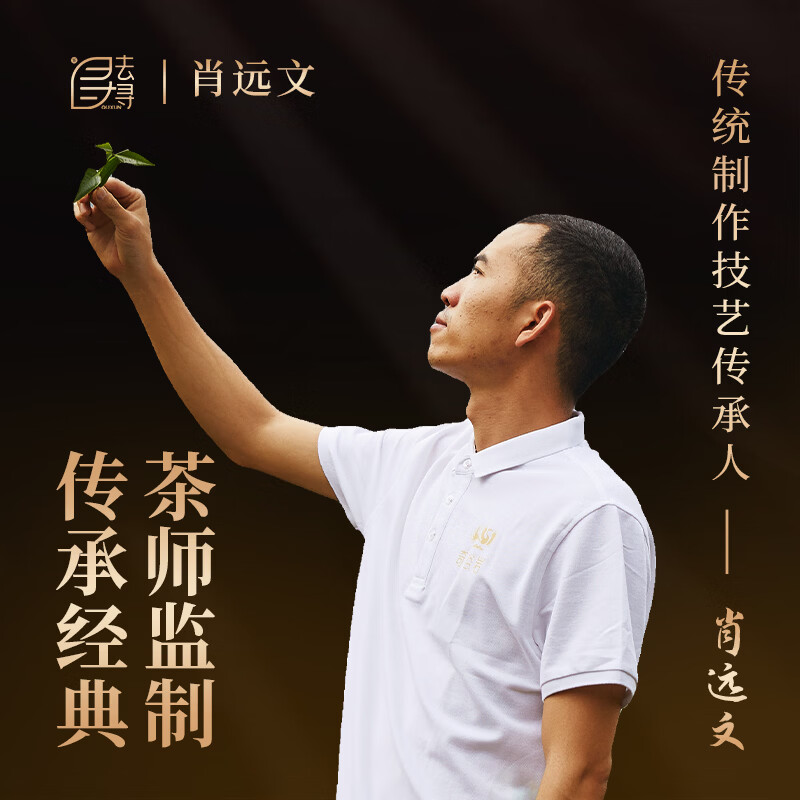 Go find green tea Mingqian Longjing tea gift box 250g 2025 new tea spring tea new year gifts for elders