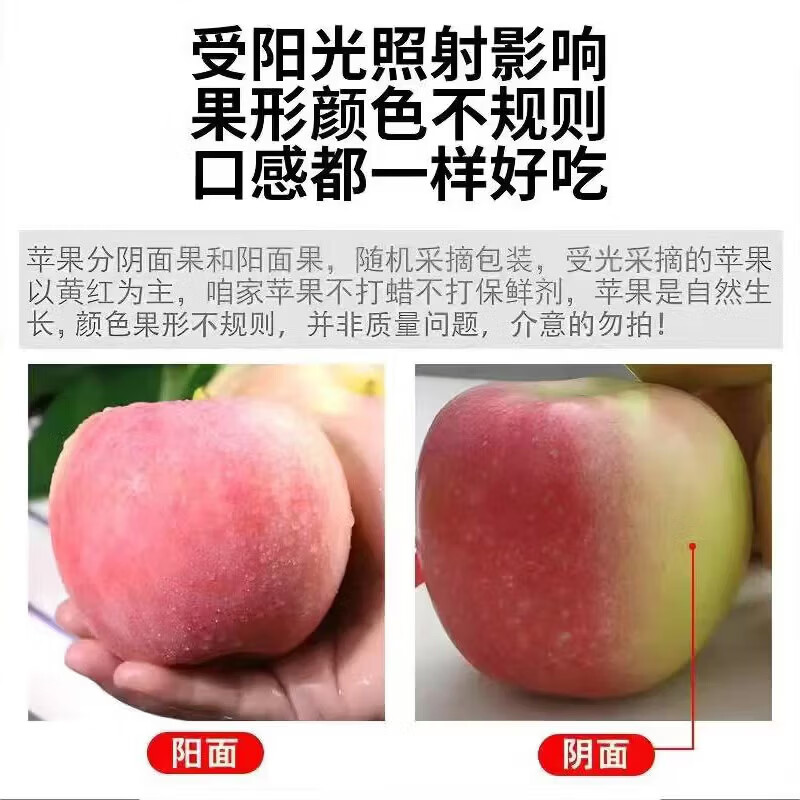 Aksu Apple Xinjiang Aksu Rock Candy Heart Apple Fresh Fruit Crisp and Sweet Red Fuji Recommended for Gifting 10 Jin in Box Single Fruit 75-85mm Net Weight 8.5 Jin