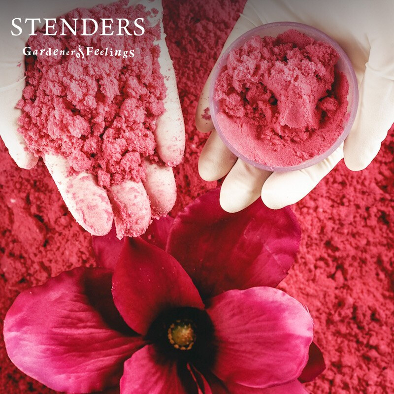 STENDERS bath essential oil ball, bubble bath ball, Nordic imported sea salt ball, adult and children bath ball 100g New Year, magnolia bubble bomb 100g