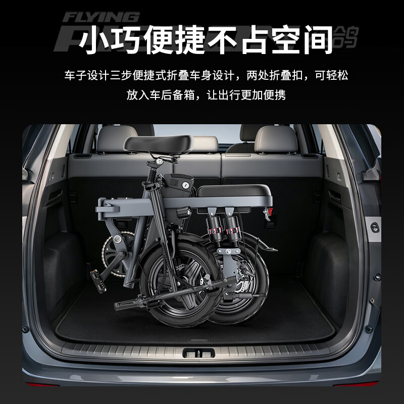 FG FLYING PIGEON folding electric vehicle for driving, extra long range, new national standard electric bicycle, adult small battery, electric bicycle lithium battery, luxury version - 10A pure electric range 30km/8-weight shock absorption/Panasonic battery cell/lifetime warranty