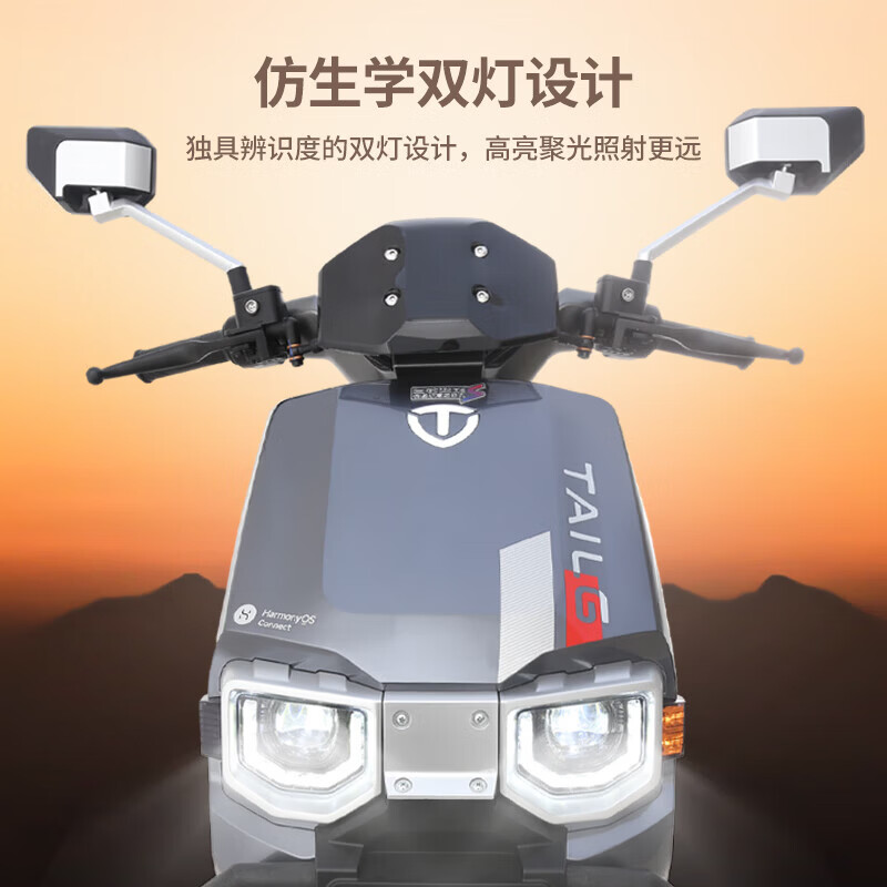 Tailing Electric Motorcycle Super S Sky 75km Long Range Electric Vehicle 1200W High Speed Electric Motorcycle 72V23Ah Graphene Battery Commuting Transportation Battery Vehicle Pine Frost Green