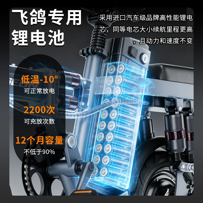 FG FLYING PIGEON folding electric vehicle for driving, extra long range, new national standard electric bicycle, adult small battery, electric bicycle lithium battery, luxury version - 10A pure electric range 30km/8-weight shock absorption/Panasonic battery cell/lifetime warranty