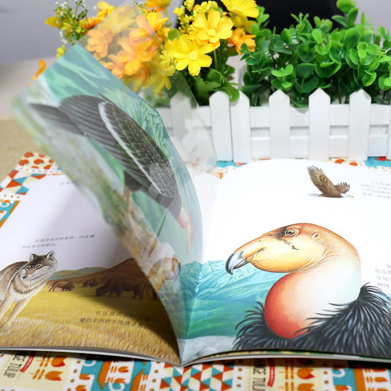 First Discovery Series: Perspective Eye Series: Animals in Crisis (Animals)