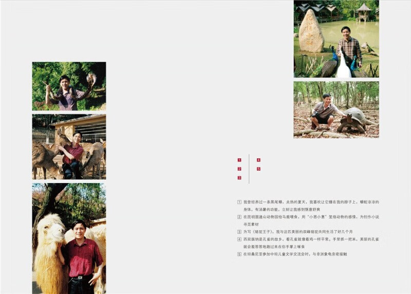 Dream of the Wolf King Shen Shixi's animal novel king children's literature adolescent primary and secondary school students extracurricular reading books genuine books 7-14 years old