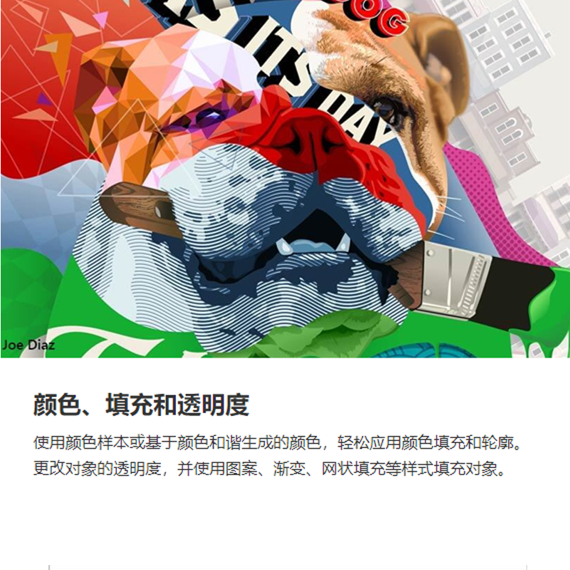 CorelDRAW software cdr software 2025 2020 genuine X8 X4 package installation graphic design software graphic design vector illustration, layout, photo editing and design tools, official genuine version, Chinese version CorelDRAW 2020 Win Lifetime Edition