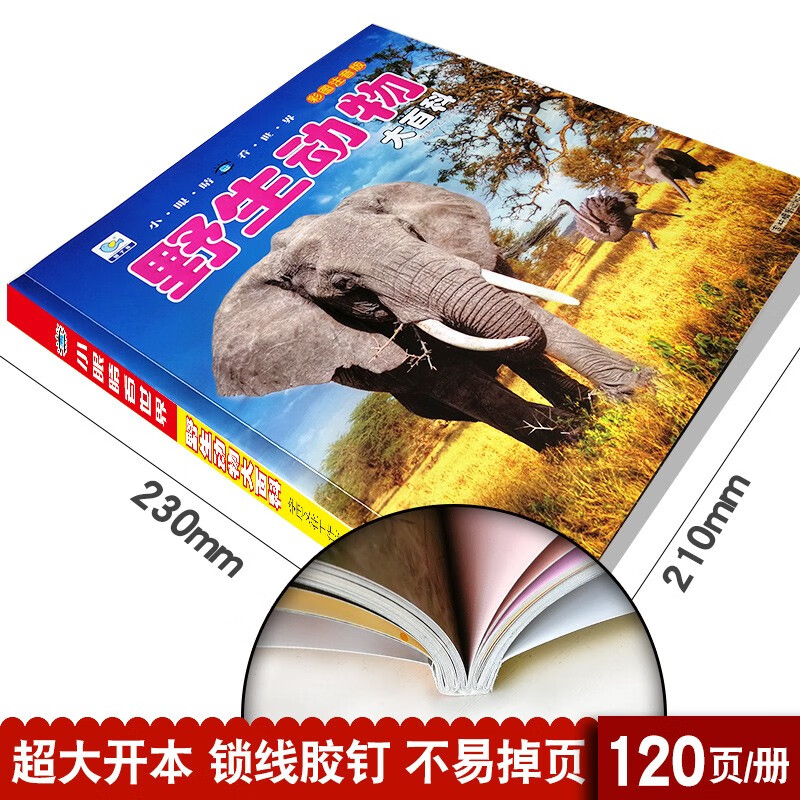 Encyclopedia of Wild Animals, Color Pictures and Phonetic Version of Popular Science Books, Little Eyes Seeing the World, Children's Encyclopedia of Scientific Enlightenment and Cognition