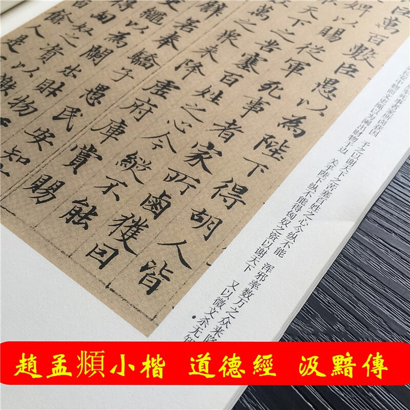 Zhao Mengfu's Tao Te Ching in small regular script, Ji An's biography, Yuan Dynasty, the essence of stele calligraphy in ancient dynasties, Zhao's small regular script brush calligraphy with simplified Chinese marginalia, Anhui Fine Arts Publishing House