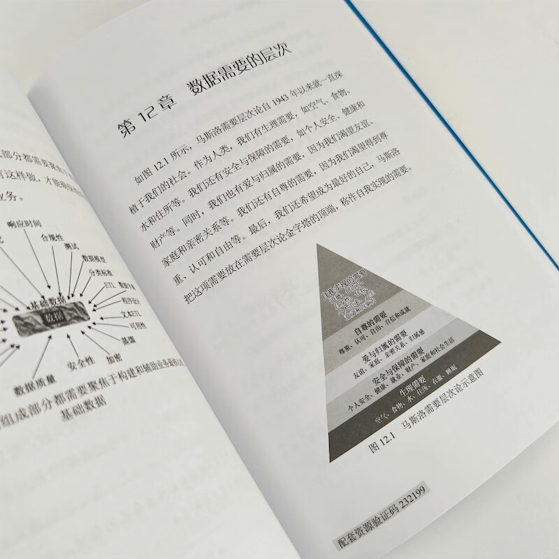 Data Lake Warehouse (produced by Asynchronous Books)