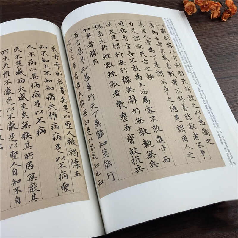 Zhao Mengfu's Tao Te Ching in small regular script, Ji An's biography, Yuan Dynasty, the essence of stele calligraphy in ancient dynasties, Zhao's small regular script brush calligraphy with simplified Chinese marginalia, Anhui Fine Arts Publishing House