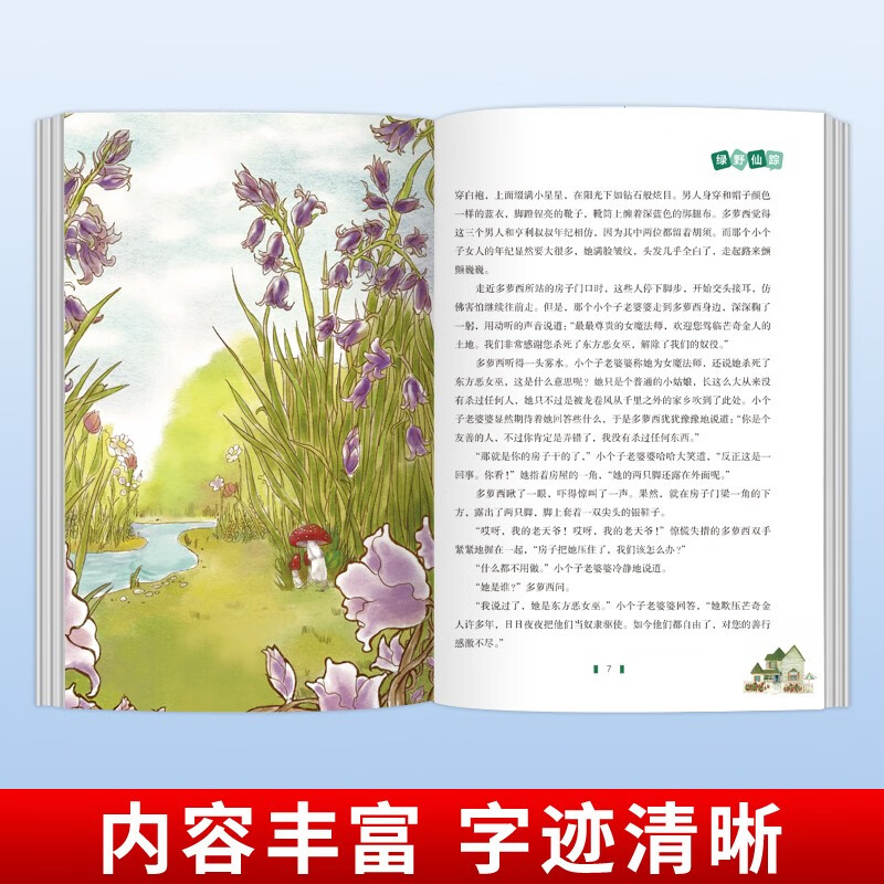 The Wizard of Oz, fairy tale classic extracurricular book for primary school students in grades 3, 4 and 5, holiday reading list